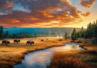 North American Wildlife Art - A Yellowstone Story