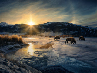 Winter In Yellowstone: Thriving On The Coldest Days