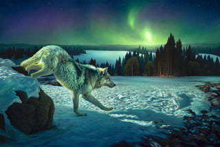 Original wolf oil painting