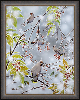 "Tropical Paradise" - Framed Song Birds Art Print