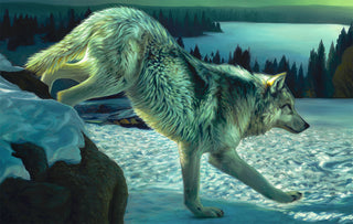 Wildlife oil painting - Wolf at night