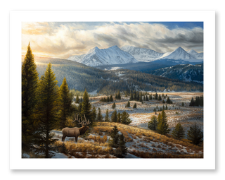 wildlife art print, rocky mountain elk
