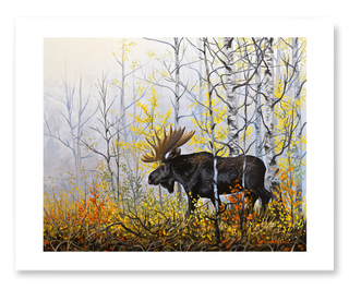 bull moose wildlife painting art print