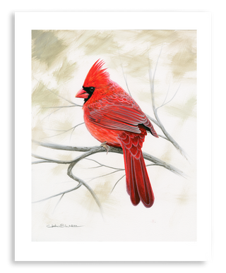 cardinal painting art print