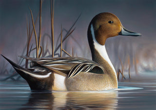 2 Unframed Collector Edition Federal Duck Stamp Prints (#3250 + #3253)