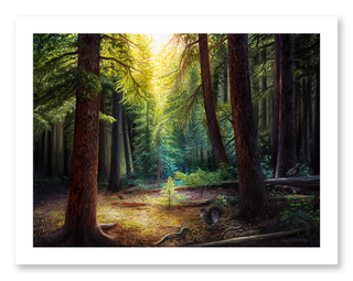 forest landscape art print