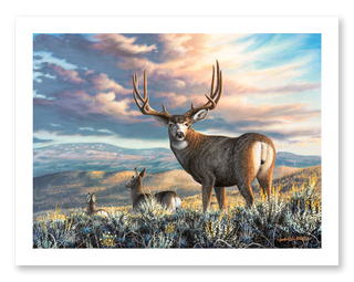 mule deer buck wildlife painting print