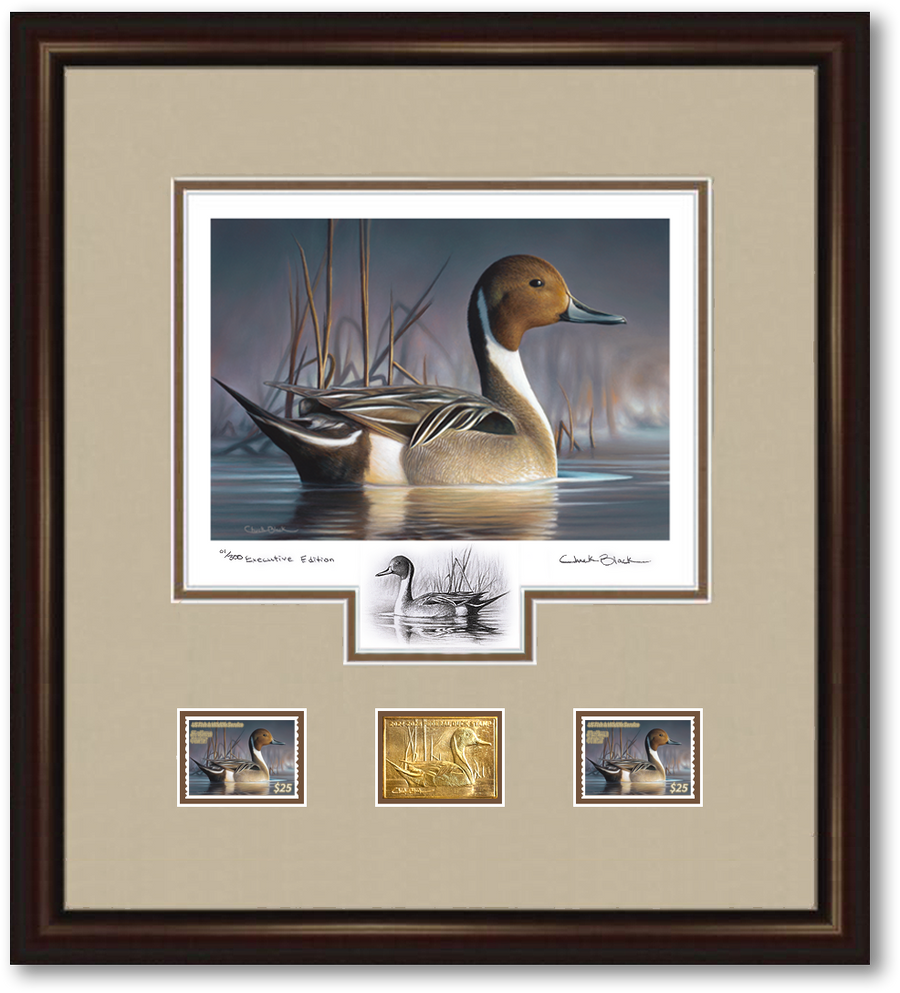 Federal Duck Stamp Art Prints Chuck Black Art