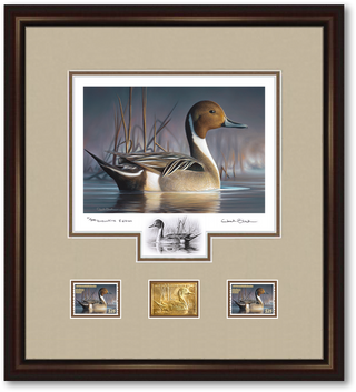 Federal Duck Stamp Art Print - Executive Edition