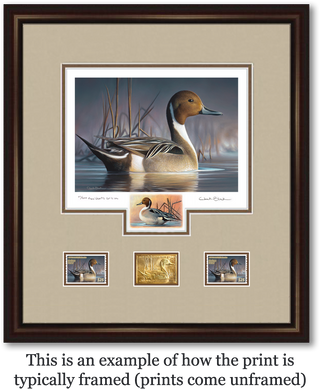 Federal Duck Stamp Art Print - President's Edition