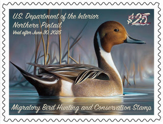 2024 Signed Federal Duck Stamp