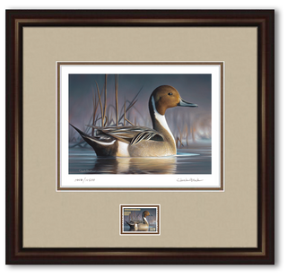 Federal Duck Stamp Art Print - Collector's Edition