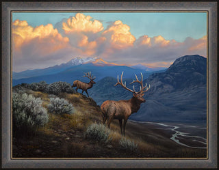 Framed art of bull elk