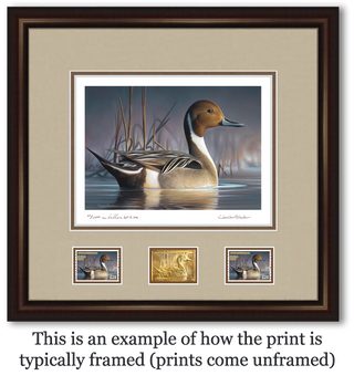 Federal Duck Stamp Art Print - Medallion Edition