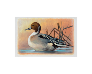 Federal Duck Stamp Art Print - President's Edition