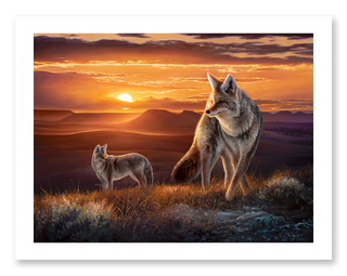 Pair of coyotes against a glowing sunset in 'The Setting Sun' art print.