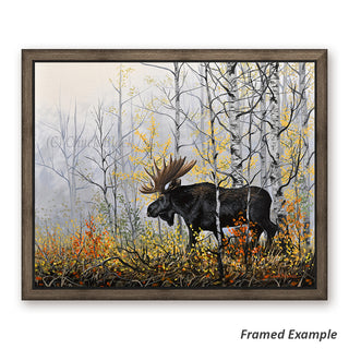 Framed Bull Moose Canvas Print - fall atmosphere with foggy backdrop