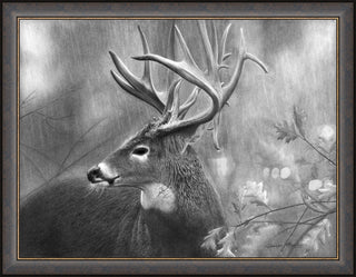 "Rainy Days" - Whitetail Buck Framed Art Print