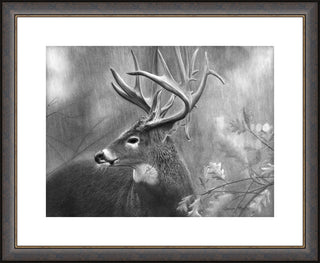 "Rainy Days" - Whitetail Buck Framed Art Print