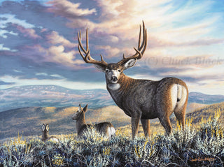 Original Painting - Wildlife and landscape art by Chuck Black