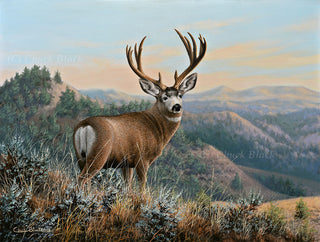 Original Painting - Wildlife and landscape art by Chuck Black